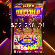 55Nn Bet